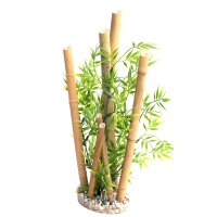 Sydeco Bamboo XL Plants 38cm - Natur pur für jeden Raum