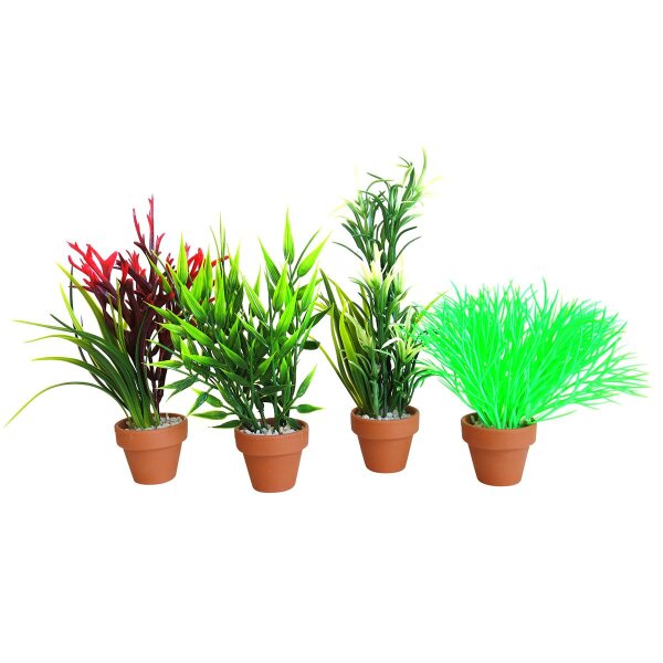 Sydeco Aquaplant Small - Die perfekte Wasserpflanze für Ihr Aquarium