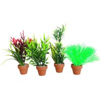 Sydeco Aquaplant Small - Die perfekte Wasserpflanze...