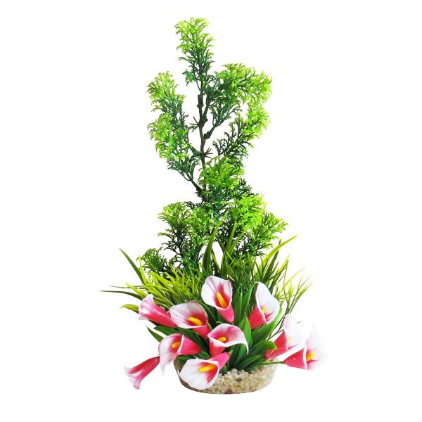 Sydeco Paradise 28cm - Dein Traum für jeden Tisch