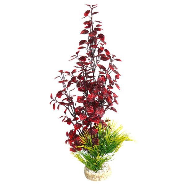 Sydeco Fiesta Aqua Jungle 40cm - Farbenfrohe Aquarium-Pracht