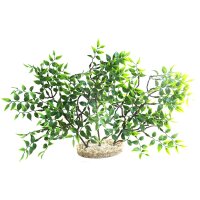 Sydeco Mangrove River 26cm - Ihre perfekte Begleitung...