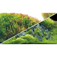 HOBBY Rückwand Plant River 0,60x25m