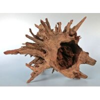 ORBIT Wurzel Corbo Medium 40-50cm