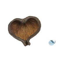 Ceramik Nature NL Thelambu Pods 10-15cm - Naturbelassene...