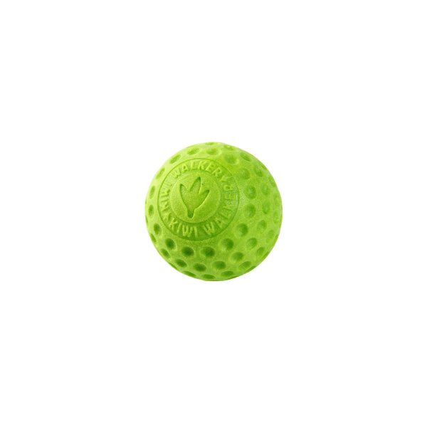 Kiwi Walker +KW Play Ball Mini grün - Flugspielzeug für Hunde