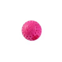 Kiwi Walker +KW Play Ball Mini pink - Spielzeug für...