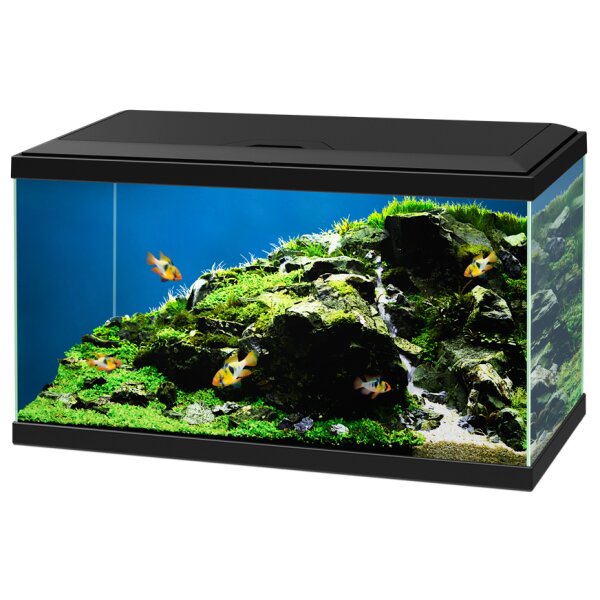 Ciano Aquarienset Aqua 60 schwarz - Ihr perfektes Aquarium für Zuhause