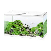Ciano Aquarienset Aquarium 60 Weiß - Dein perfekter...