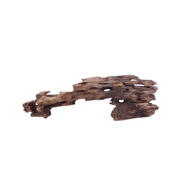 AQUA PET Wurzel Honey Comb L 35-50 cm