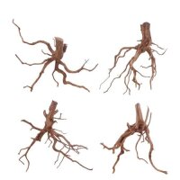 AQUA PET Wurzel Red Spiderwurzel L 20-30 cm
