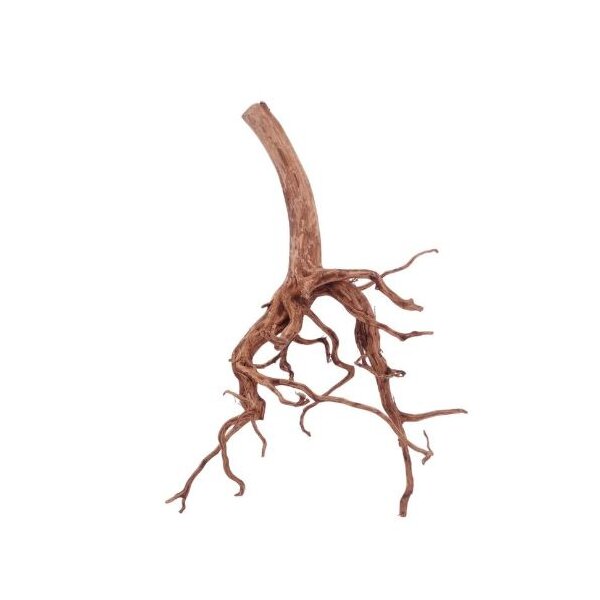 AQUA PET Wurzel Red Spiderwurzel XL 30-50 cm