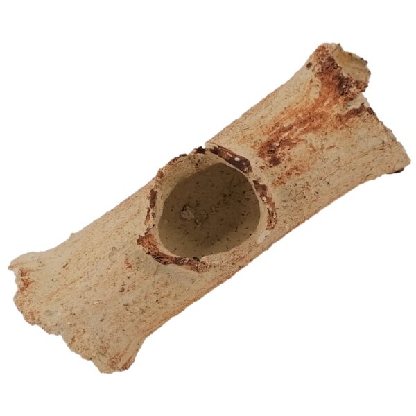 Aquaroche +AR Small Hollow Wood - Naturschönheit für jede Einrichtung