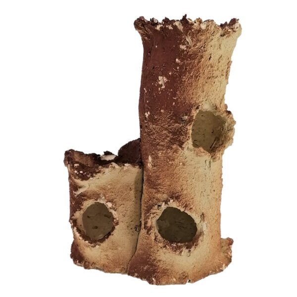 Aquaroche Sarl +AR Double Trunk 10x13x6cm - Ihre perfekte Dekoration