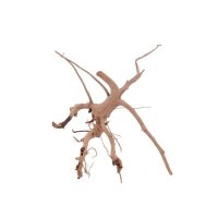 AQUA PET Wurzel Siennawurzel M 20-25 cm