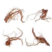 AQUA PET Wurzel Drachenwurzel L 60-80 cm