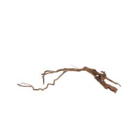 AQUA PET Wurzel Drachenwurzel XL 80-100 cm