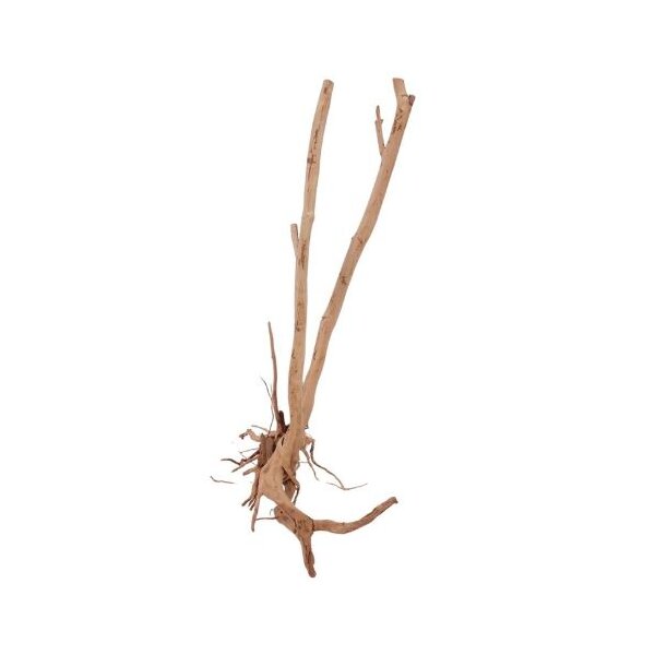 AQUA PET Wurzel Woodstump M 60-80 cm
