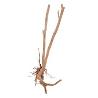 AQUA PET Wurzel Woodstump M 60-80 cm