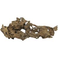 ORBIT Wurzel Ubatuba-Wurzel 0,5-1kg M