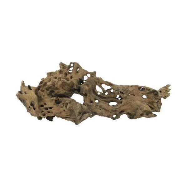 ORBIT Wurzel Ubatuba-Wurzel 1-2kg L