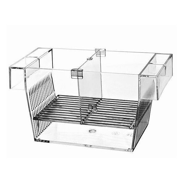 Heuser Ablaichkasten 2 in 1 - Transparent und Schützend