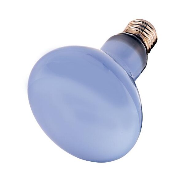 Hobby Neodymium Daylight Eco 28W - Energieeffiziente Beleuchtung für Ihr Aquariu