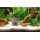 Orbit NATURSAND EXTRA WEISS 13KG - Feinster Aquarienkies
