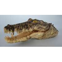 Orbit 3398 Deko Krokodil-Kopf - Prunkstück für...