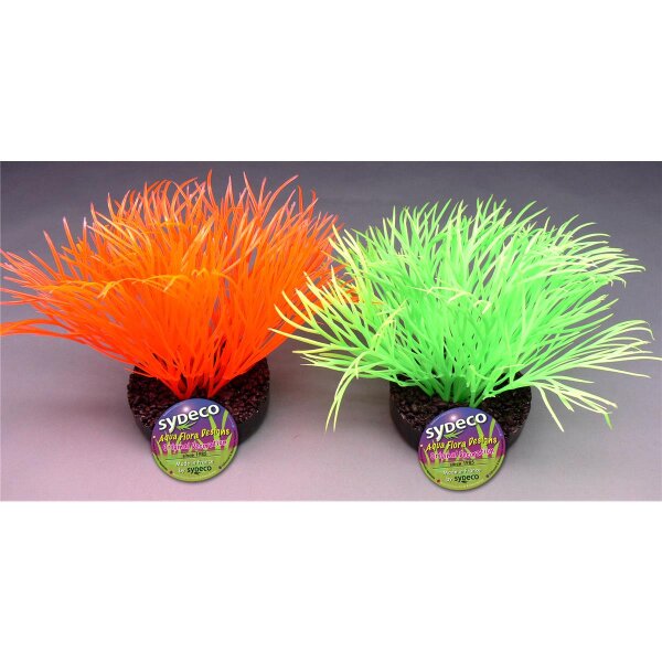 Sydeco Sunny Plant 11cm - Die perfekte Dekoration für jeden Raum