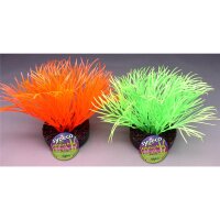 Sydeco Sunny Plant 11cm - Die perfekte Dekoration...