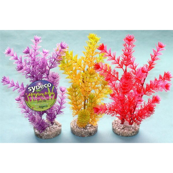 Sydeco Aquaplant 24cm - Die perfekte Dekoration für jeden Raum