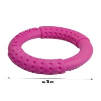 KIWI WALKER Hundespielzeug Ring Mini Gr&uuml;n