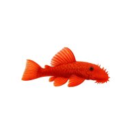 FISCH Zierfisch Super Red Ancistrus DNZ 4cm