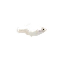FISCH Zierfisch L142 / LDA33 Snowball 6-8