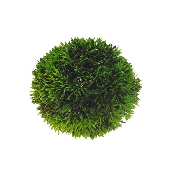 Hobby Plant Ball 13cm - Die perfekte künstliche Aquarienpflanze