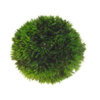 Hobby Plant Ball 13cm - Die perfekte künstliche...