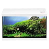 EHEIM Aquarium Aquafamily Anthrazit 66L - 62,5x39,5x32,5CM