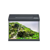 EHEIM Aquarium GB Aquaclass 30 Anthr
