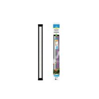 CIANO Beleuchtung LED CLE 80 Day Schwarz 23w...